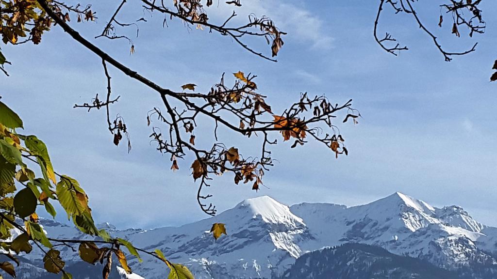 Oase Zum Sein Apartman Spiez Kültér fotó