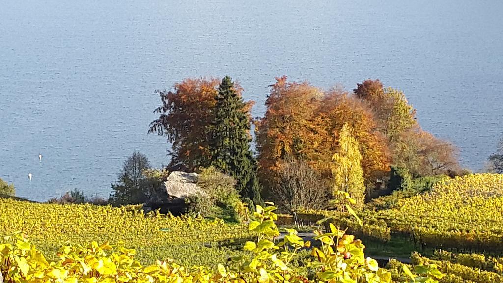Oase Zum Sein Apartman Spiez Szoba fotó