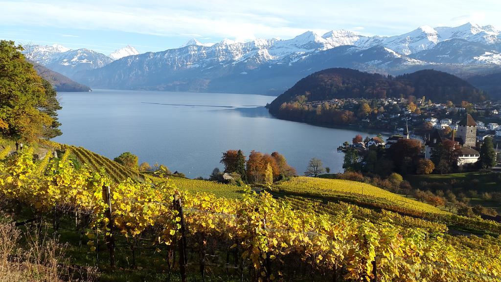 Oase Zum Sein Apartman Spiez Kültér fotó